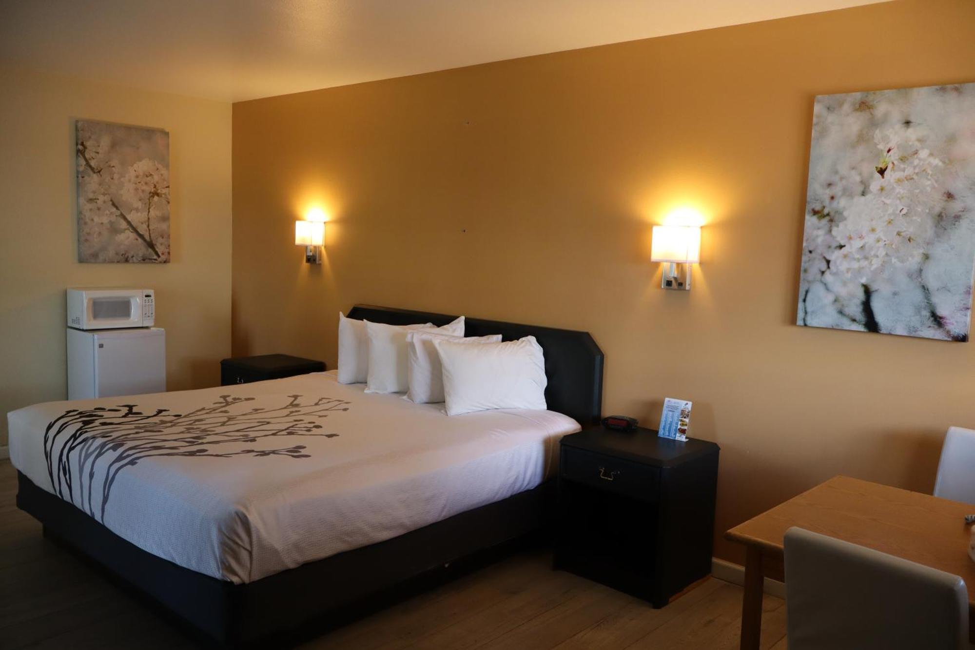 Black Canyon Motel Montrose megye Kültér fotó