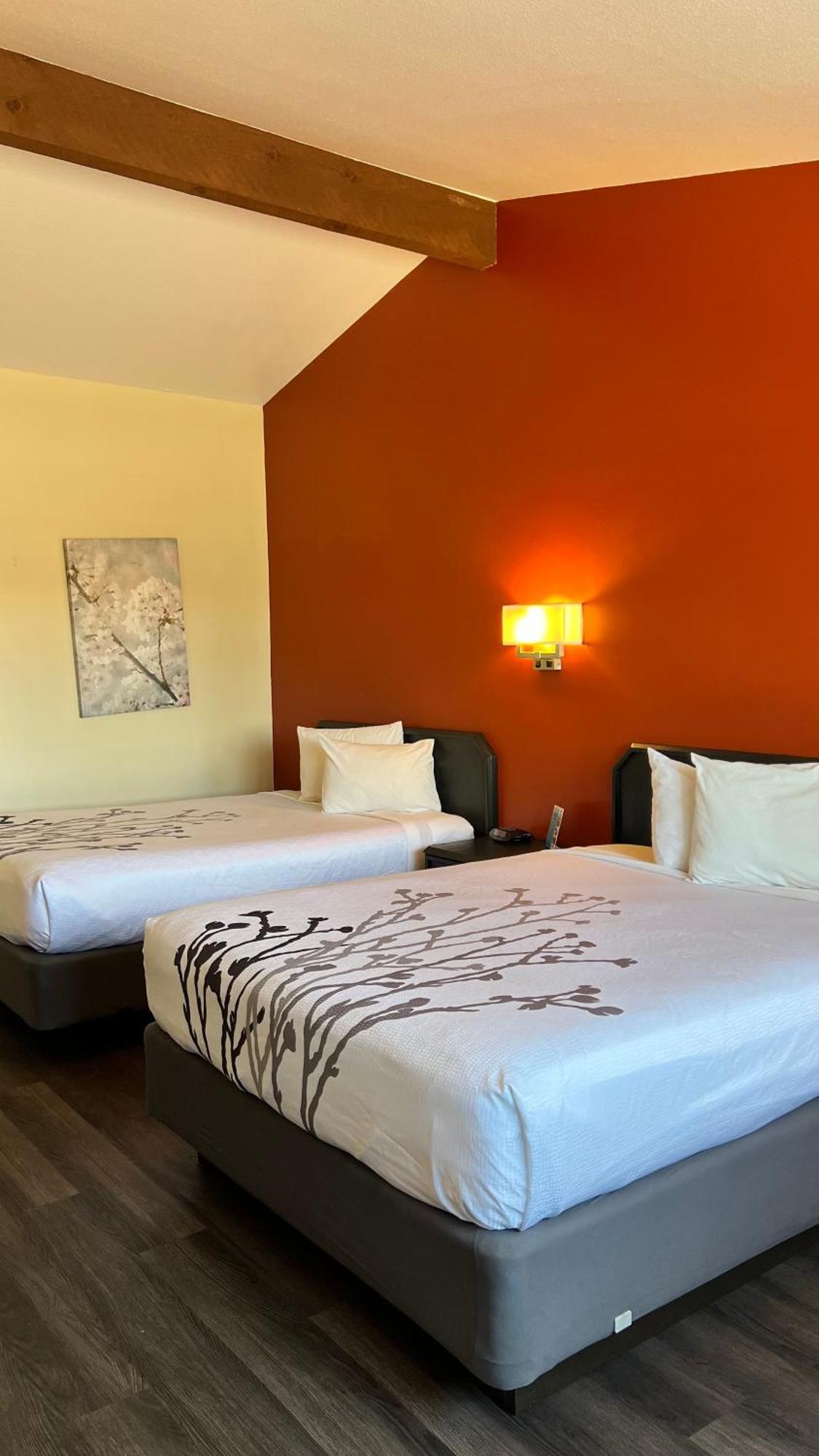 Black Canyon Motel Montrose megye Kültér fotó
